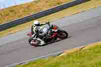 Lower Group Multicolour Bikes